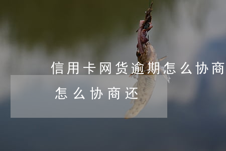 信用卡网货逾期怎么协商还(信用卡网货逾期怎么协商还)