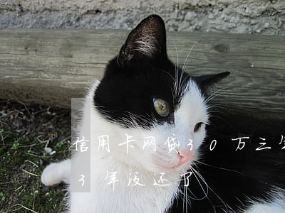 信用卡网贷30万三年不还(欠信用卡30万3年没还了)