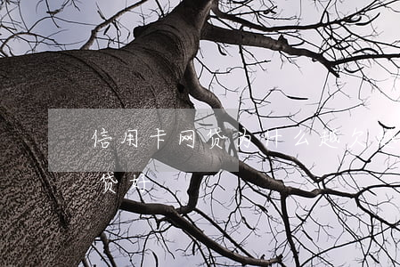 信用卡网贷为什么越欠越多(欠信用卡比欠网贷好)