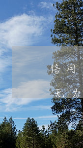 信用卡网贷共欠45万(欠信用卡网贷40万无力偿还怎么办?)