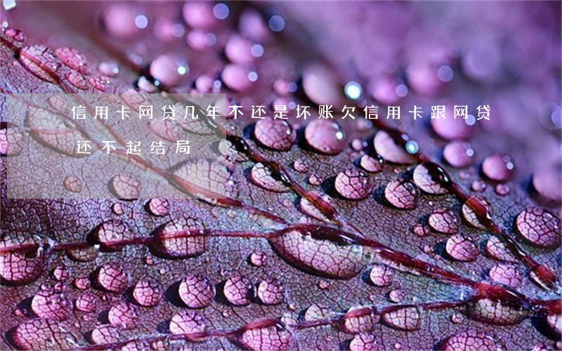 信用卡网贷几年不还是坏账(欠信用卡跟网贷还不起结局)