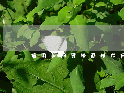 信用卡网贷协商技术(网贷协商还款话术)