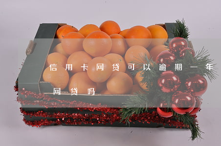 信用卡网贷可以逾期一年(信用卡逾期还能借网贷吗)