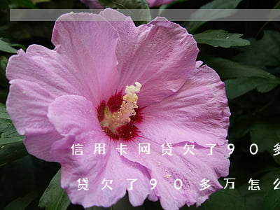 信用卡网贷欠了90多万怎么办-信用卡网贷欠了90多万怎么办呢