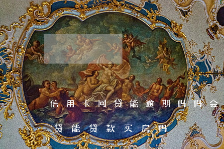 信用卡网贷能逾期吗吗会坐牢吗(欠信用卡网贷能贷款买房吗)