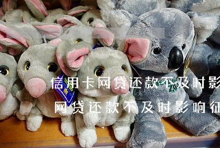 信用卡网贷还款不及时影响征信吗-信用卡网贷还款不及时影响征信吗怎么办