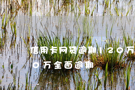信用卡网贷逾期120万(欠信用卡和网贷40万全面逾期)