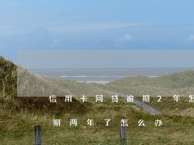 信用卡网贷逾期2年怎么办(欠信用卡网贷逾期两年了怎么办)