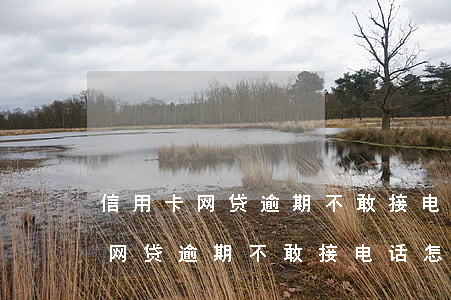 信用卡网贷逾期不敢接电话怎么办-信用卡网贷逾期不敢接电话怎么办呢