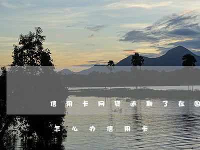 信用卡网贷逾期了在国外怎么还(网贷逾期了怎么办信用卡)