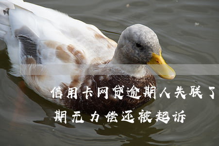 信用卡网贷逾期人失联了(网贷信用卡全部逾期无力偿还被起诉)