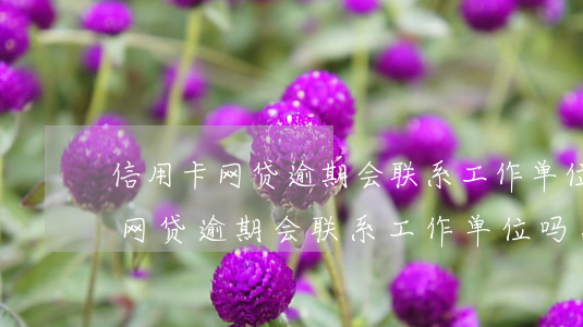 信用卡网贷逾期会联系工作单位吗-信用卡网贷逾期会联系工作单位吗怎么办
