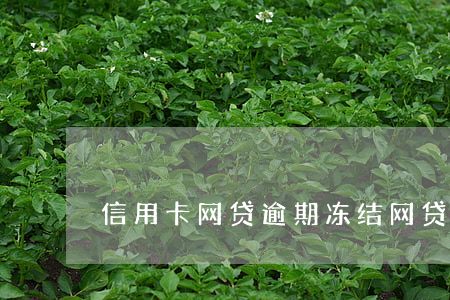 信用卡网贷逾期冻结 网贷逾期冻结了信用卡