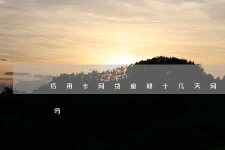 信用卡网贷逾期十几天(网贷逾期二十天严重吗)
