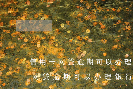 信用卡网贷逾期可以办理银行卡么-信用卡网贷逾期可以办理银行卡么吗