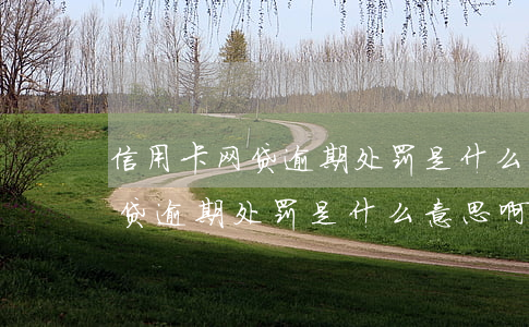 信用卡网贷逾期处罚是什么意思-信用卡网贷逾期处罚是什么意思啊