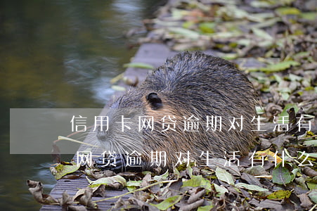 信用卡网贷逾期对生活有什么影响-信用卡网贷逾期对生活有什么影响吗
