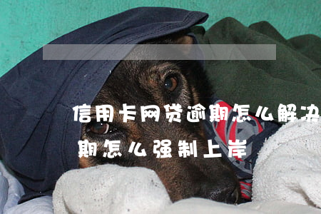 信用卡网贷逾期怎么解决(信用卡网贷全部逾期怎么强制上岸)