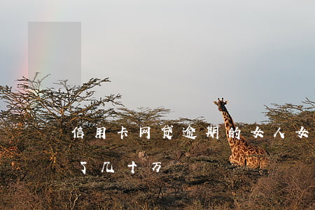 信用卡网贷逾期的女人(女朋友网贷信用卡欠了几十万)