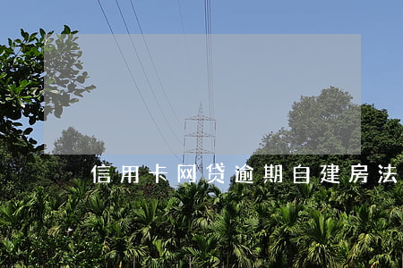信用卡网贷逾期自建房法院