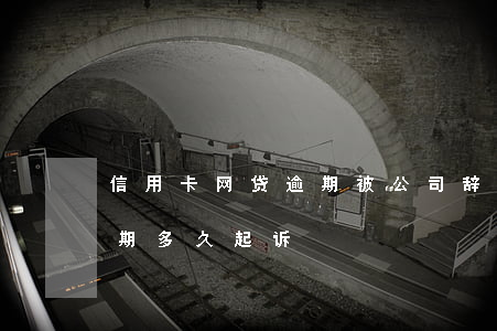 信用卡网贷逾期被公司辞退(网贷跟信用卡逾期多久起诉)
