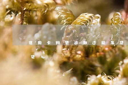 信用卡网贷逾期还能车贷吗(网贷逾期可以车贷么)