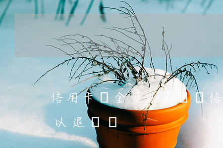 信用卡罰金可以不還嗎(信用卡逾期的罰金可以退還嗎)