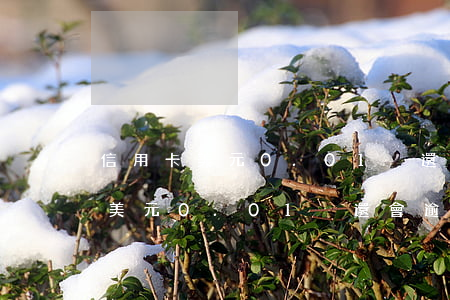 信用卡美元0.01沒還會逾期嗎-信用卡美元0.01沒還會逾期嗎為什么