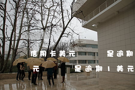 信用卡美元賬戶總是逾期1美元-信用卡美元賬戶總是逾期1美元怎么辦