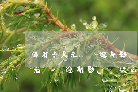 信用卡美元賬戶逾期影響貸款么-信用卡美元賬戶逾期影響貸款么嗎