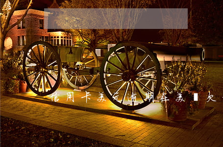 信用卡美元逾期 在美國欠信用卡
