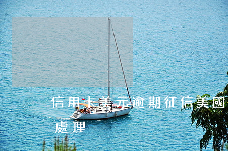 信用卡美元逾期 征信(美國對信用卡逾期怎么處理)