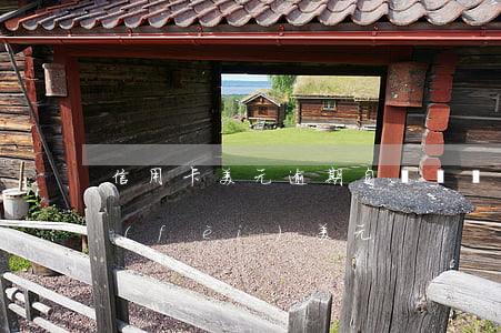 信用卡美元逾期自動購匯(信用卡突然被消費(fèi)美元)