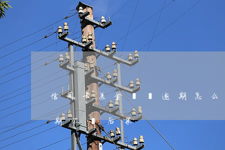 信用卡美金賬戶逾期怎么辦(美國人信用卡逾期不還后果)