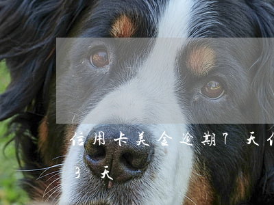 信用卡美金逾期7天信用(美團信用卡逾期13天)