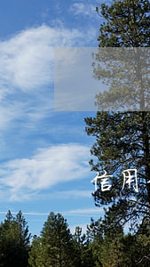 信用卡老是逾期一點點 什么叫信用卡逾期了