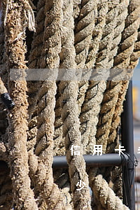 信用卡老逾期要還多少(信用卡老逾期要還多少)