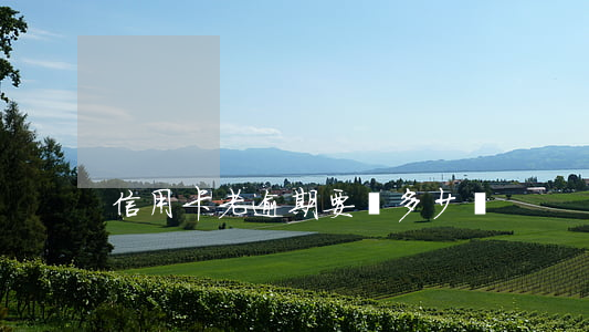 信用卡老逾期要還多少錢