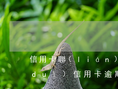 信用卡聯(lián)合起訴逾期(銀行對(duì)信用卡逾期起訴流程)