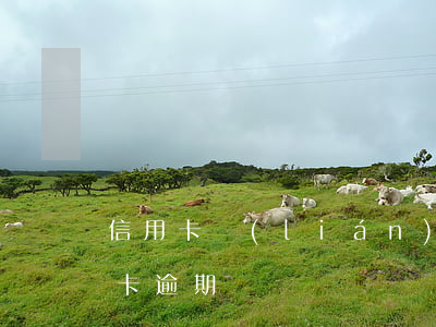 信用卡聯(lián)名卡逾期(銀行卡信用卡逾期)
