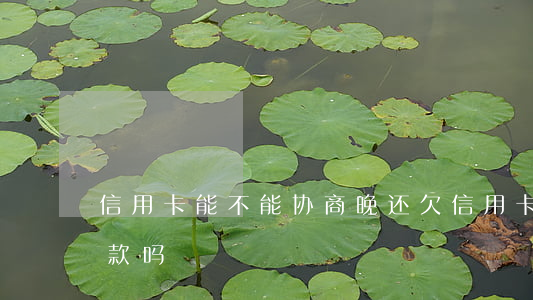 信用卡能不能协商晚还 欠信用卡可以协商还款吗