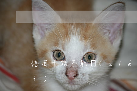 信用卡能不能協(xié)商免年費(fèi)