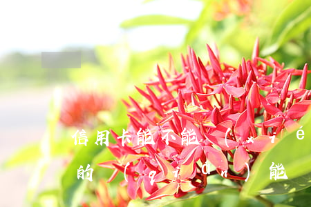 信用卡能不能協(xié)商減免(欠信用卡的錢(qián)能協(xié)商慢慢還不)