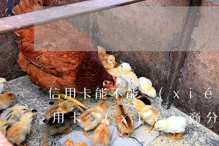 信用卡能不能協(xié)商處理(可以跟信用卡協(xié)商分期嗎)