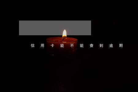 信用卡能不能查到逾期