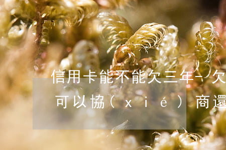 信用卡能不能欠三年-欠銀行信用卡3年了,可以協(xié)商還款嗎