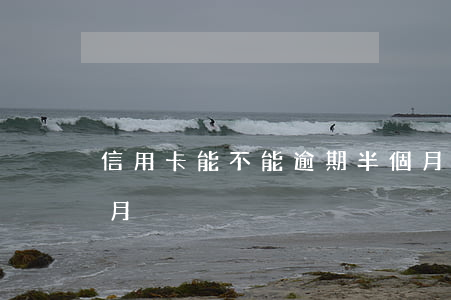 信用卡能不能逾期半個月(信用卡逾期了半個月)