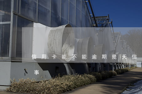 信用卡能不能逾期幾天(信用卡逾期多少天沒事)