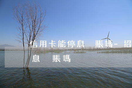 信用卡能停息掛賬嗎-招商銀行信用卡能停息掛賬嗎