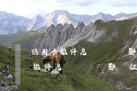信用卡能停息掛賬嗎會影響征信嗎-信用卡能停息掛賬嗎會影響征信嗎知乎